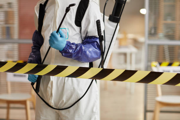 Professional Sewage Cleanup technician working in Bay City, MI
